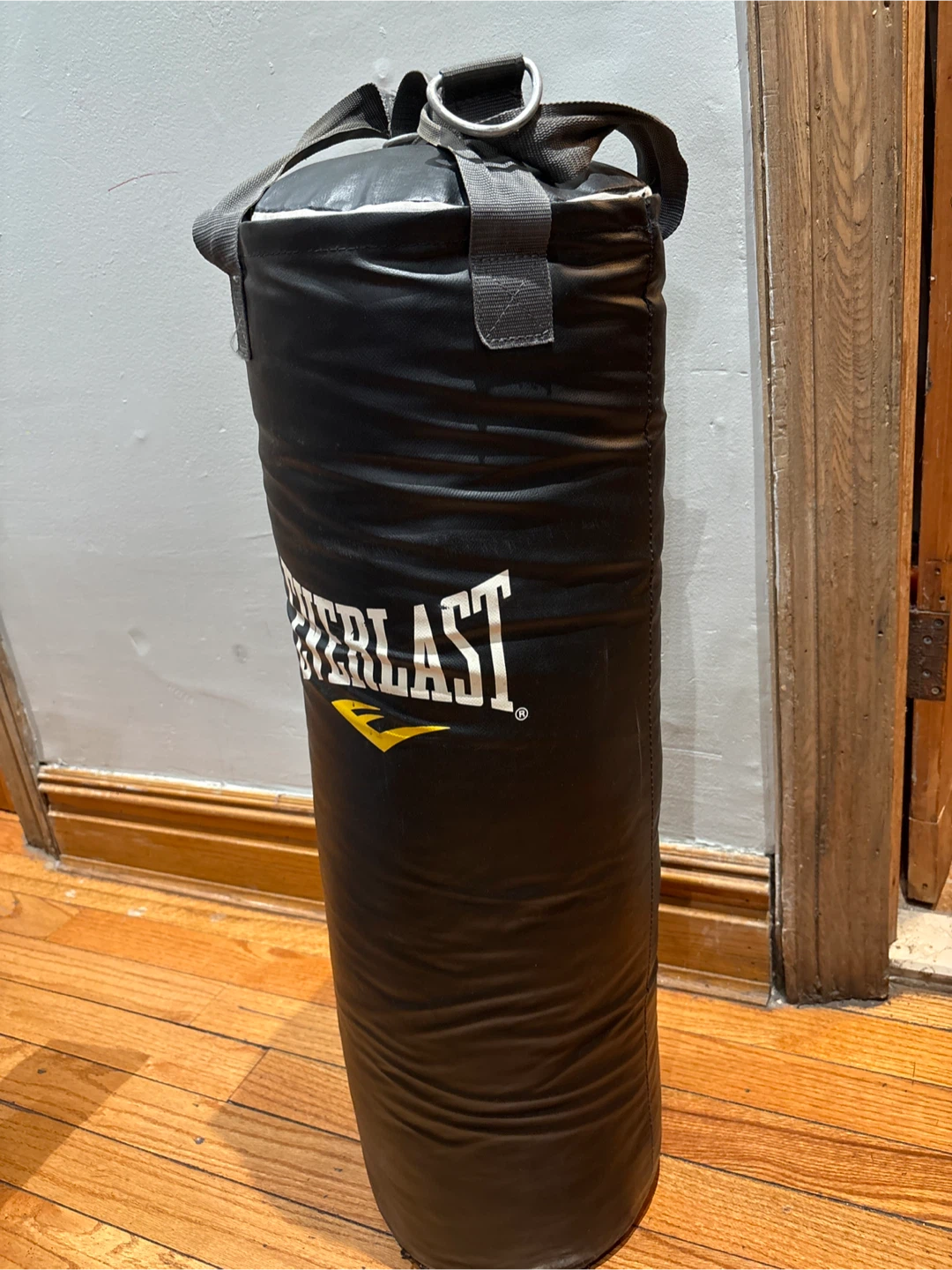 Everlast Punching Bag