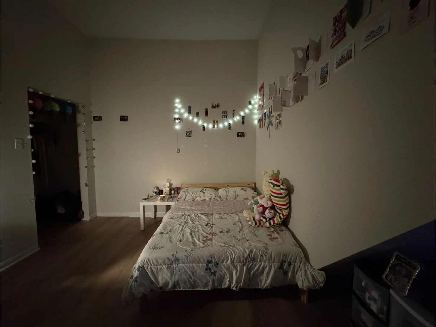 1 Bedroom Spadina Crescent