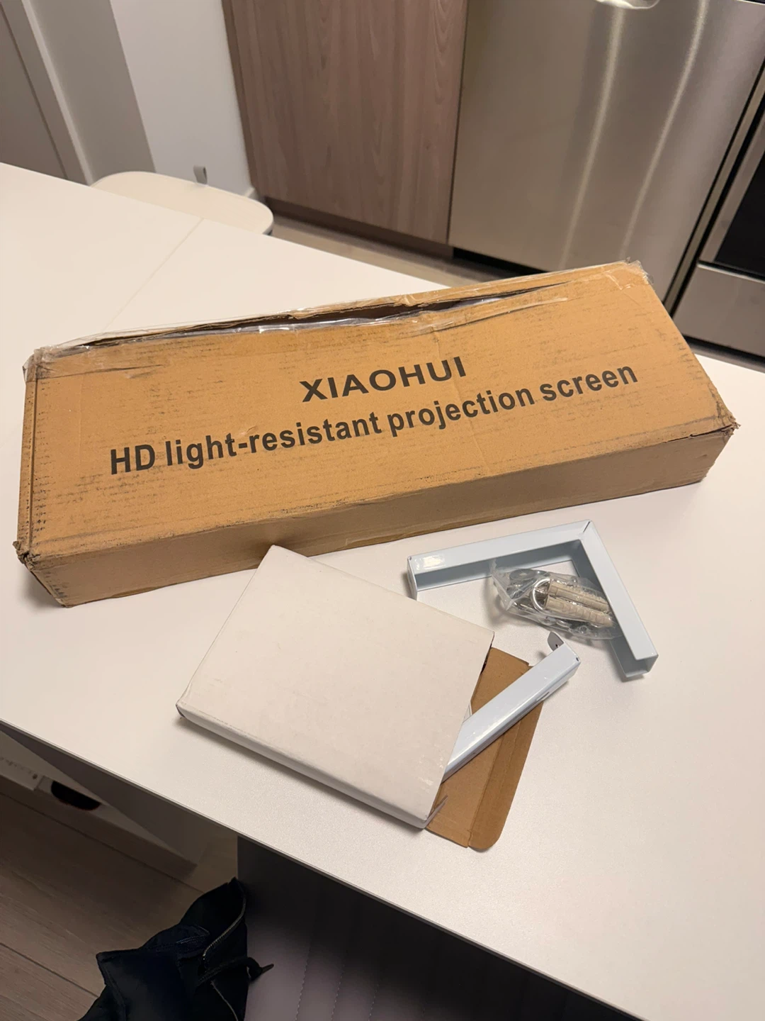 100” Projector Screen (Brand New) – Wall or Ceiling Mount