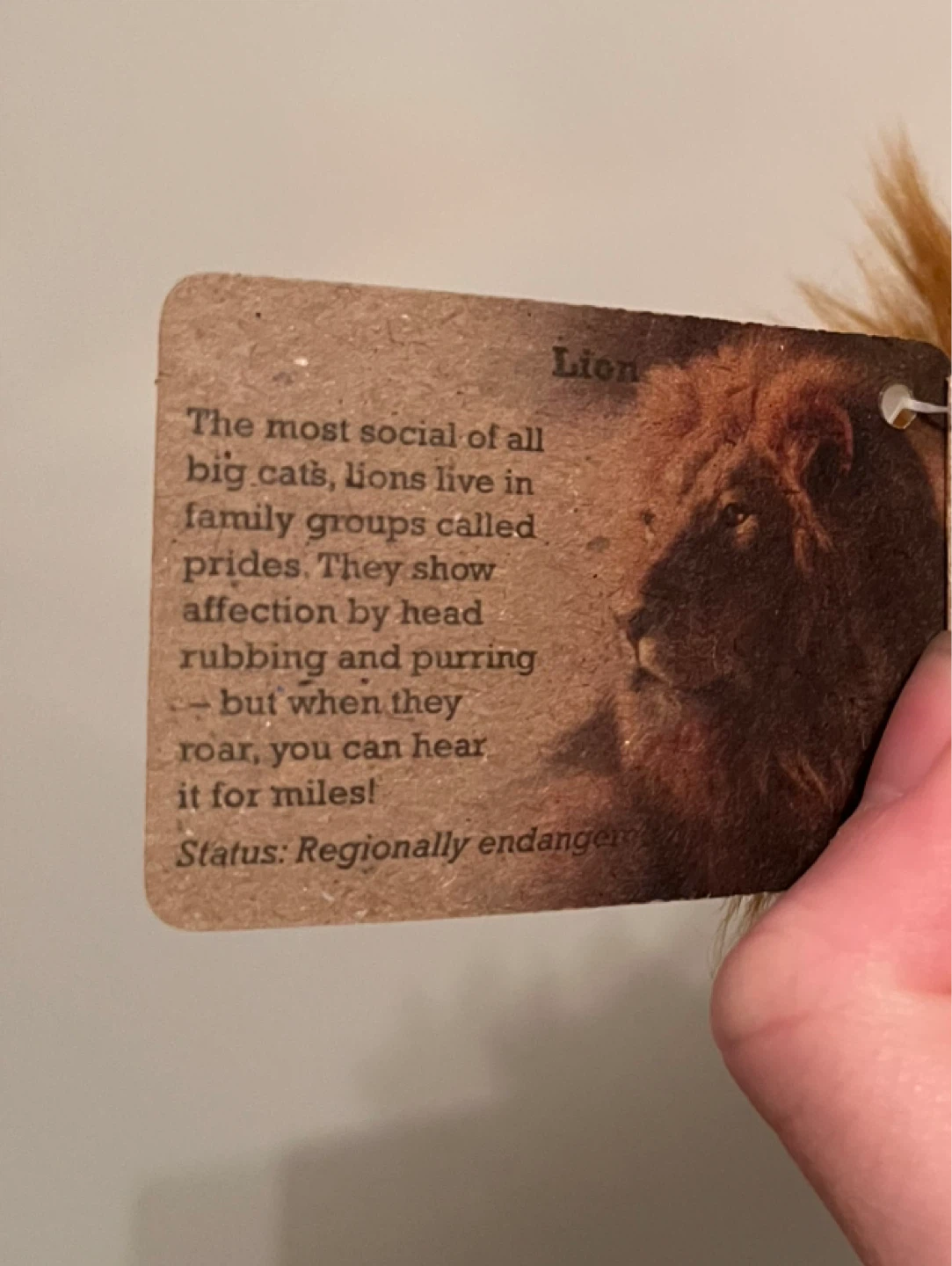 🆕Aurora Miyoni Eco-Friendly Lion Plush Toy - photo 4