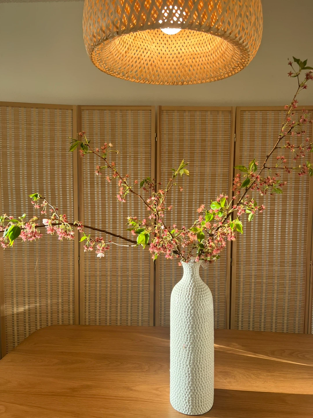6-Panel Bamboo Folding Room Divider Screen