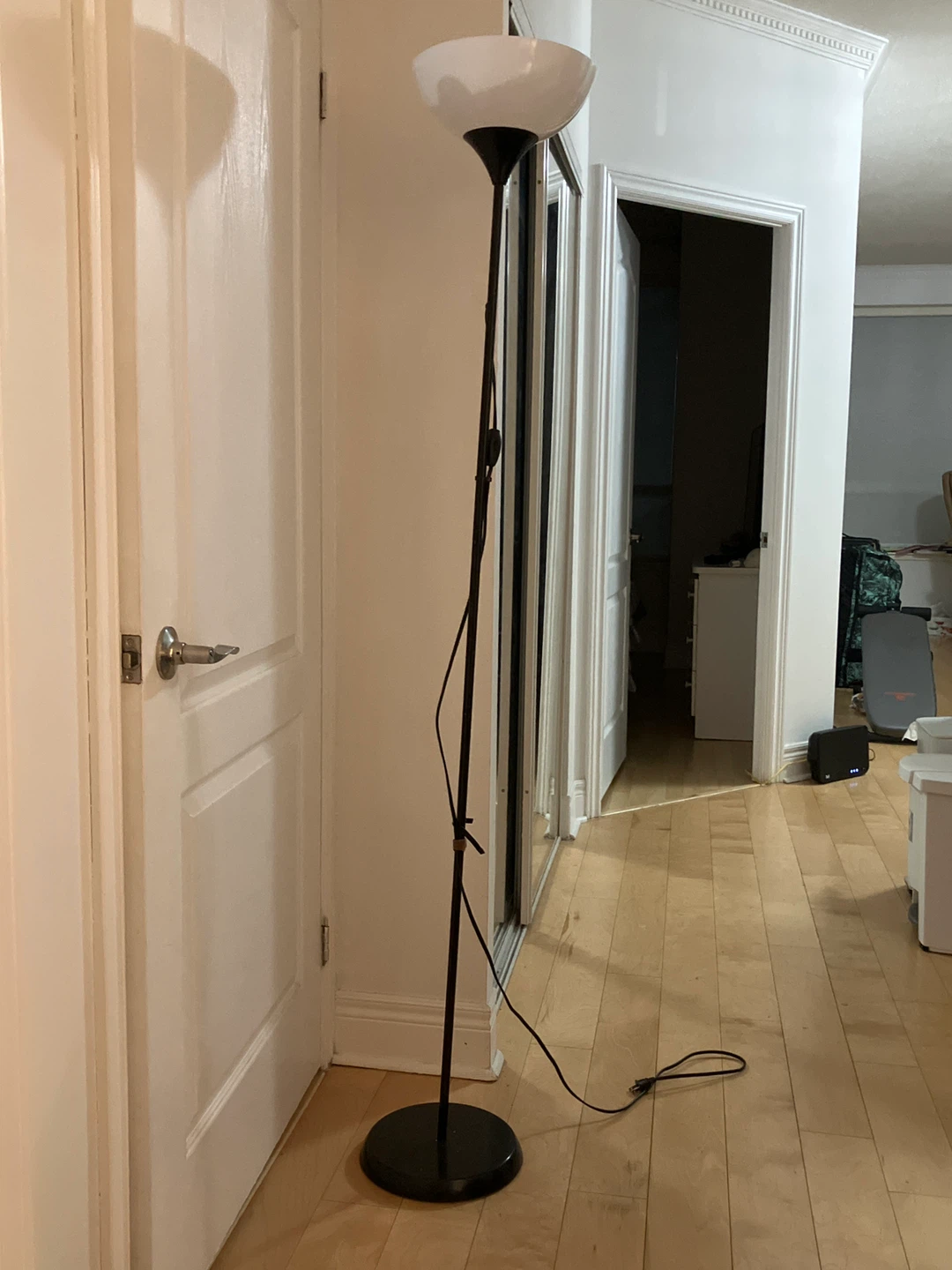 Black Floor Lamp