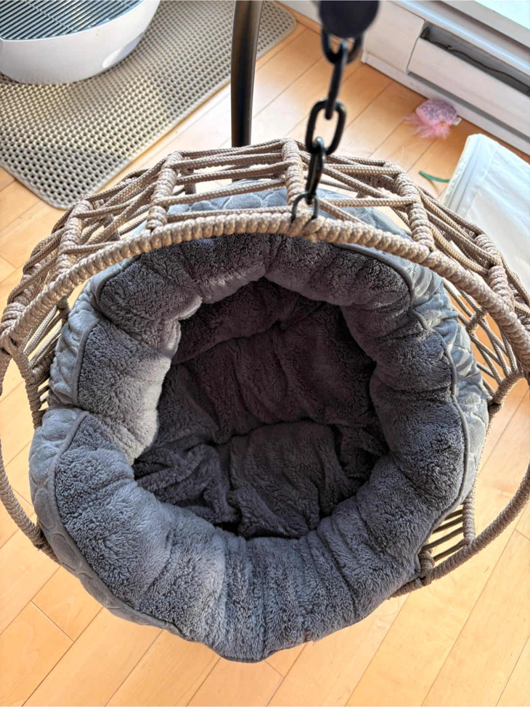 Swing Egg Bed Chair with Cushion