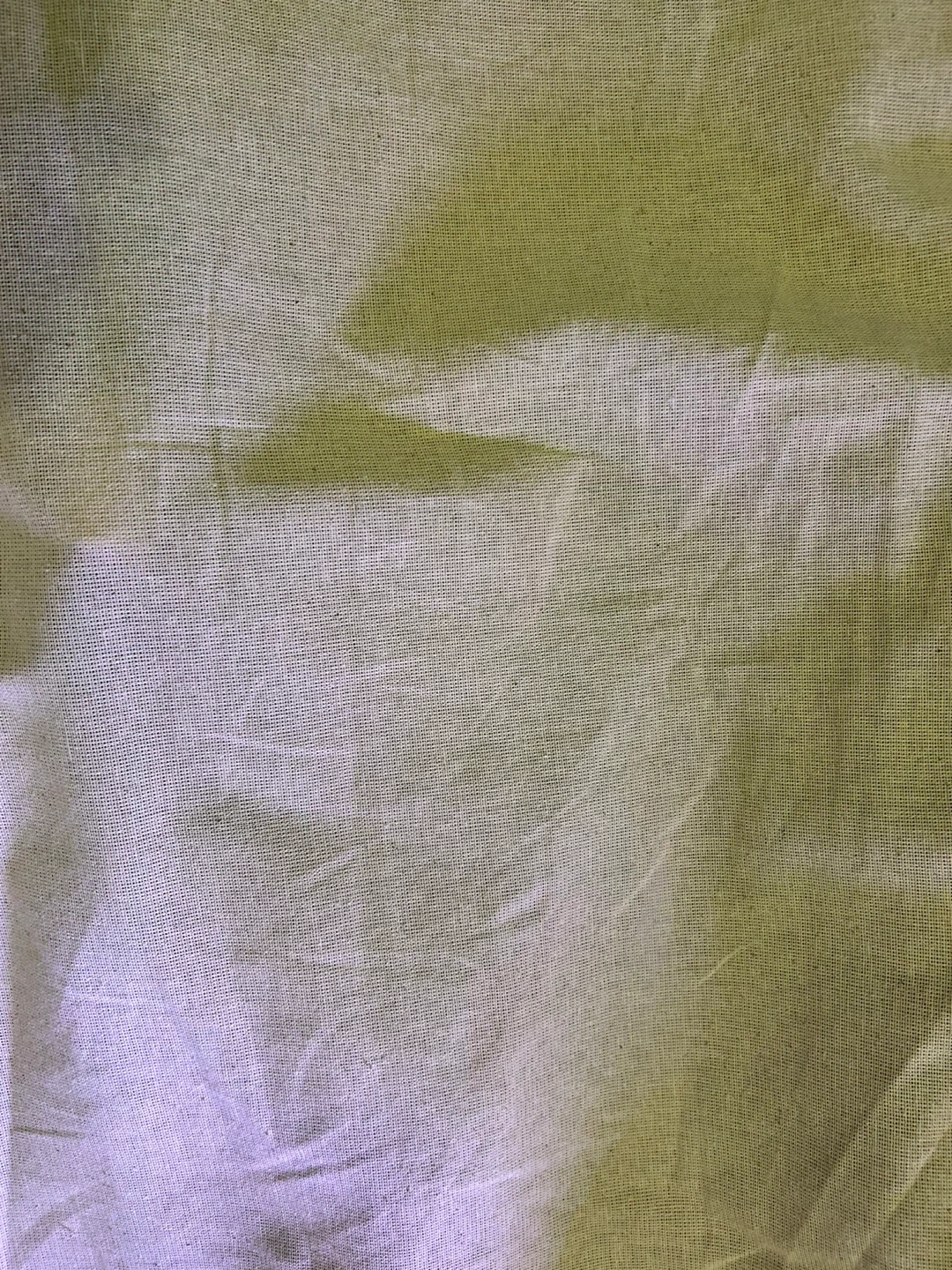 Roll of Fabric