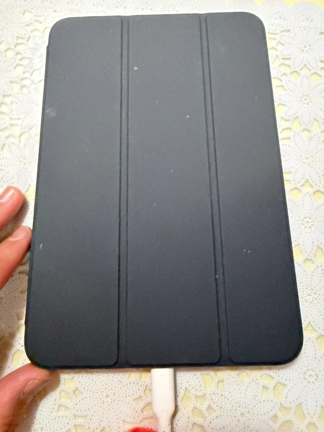 Apple iPad Mini - photo 3