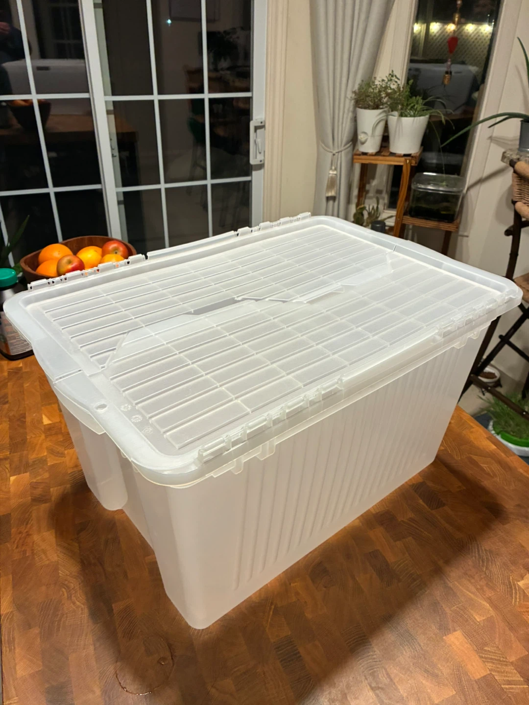 Large Clear Plastic Storage Bin with Lid
