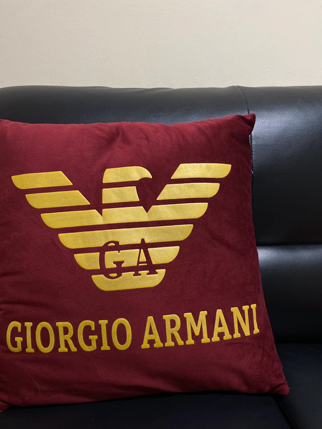 Throw Pillow