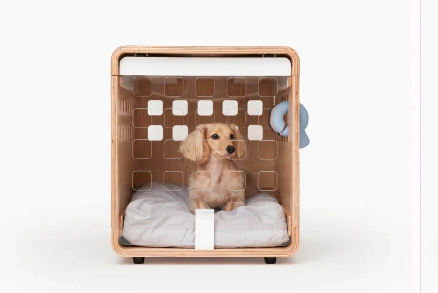 Small Fable Dog Crate with Clear Acrylic Door including Bed