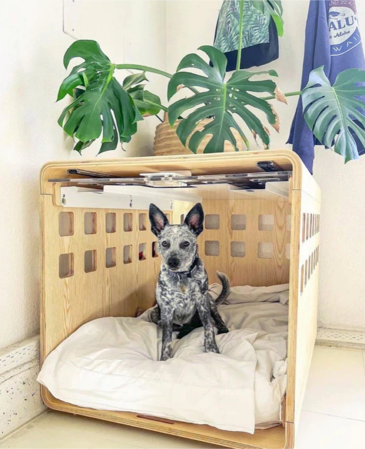 Small Fable Dog Crate with Clear Acrylic Door including Bed - photo 4