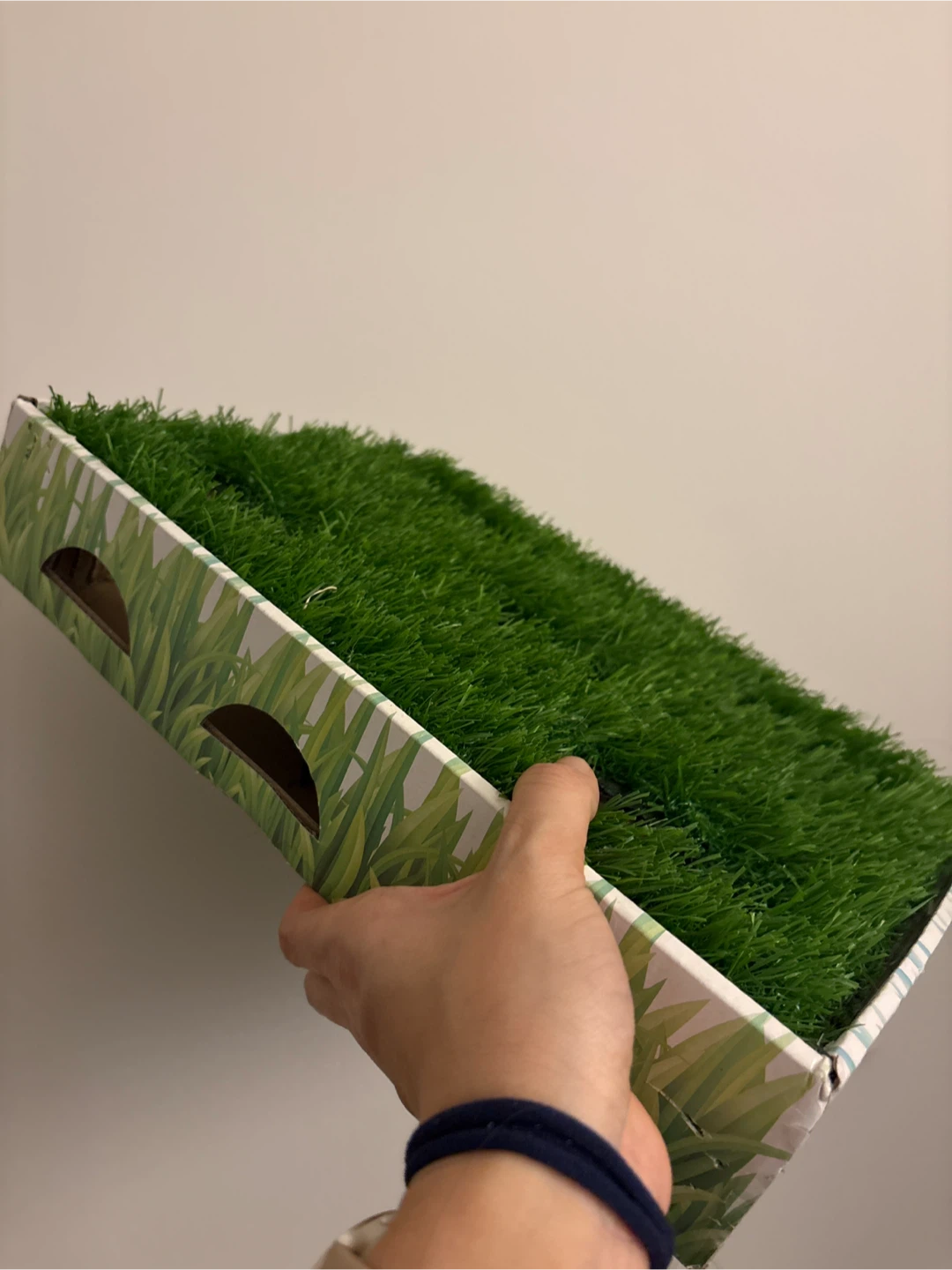 Cat Scratching Pad with Artificial Grass - photo 2