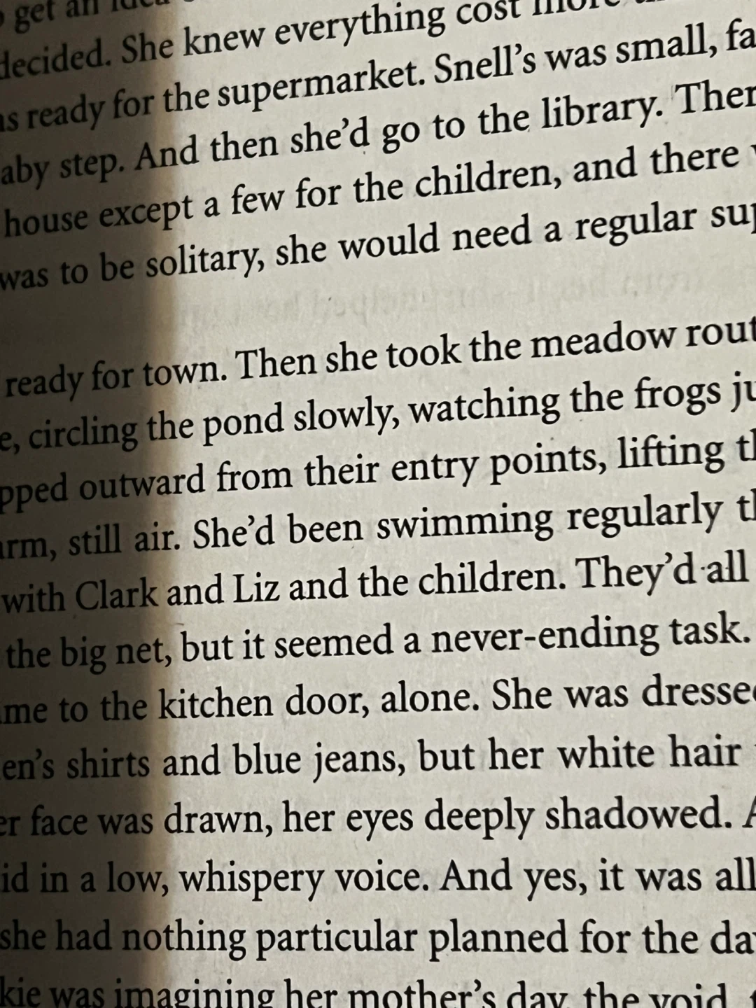 The Arsonist by Sue Miller - Fiction Novel - photo 2