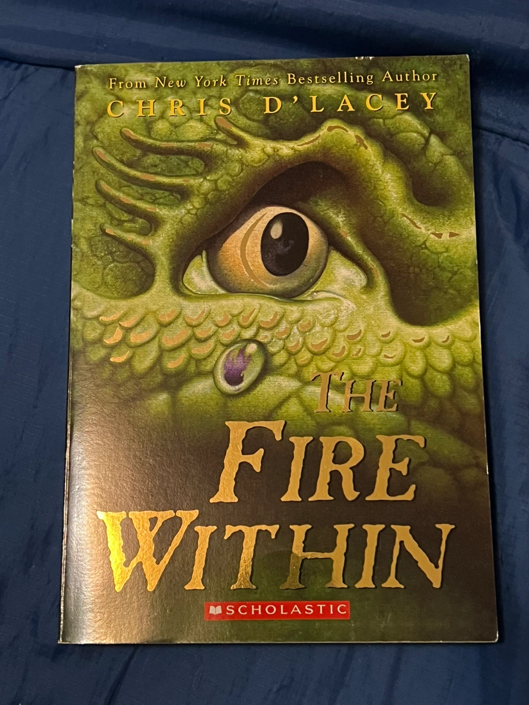 The Fire Within by Chris D'Lacey - Scholastic Book