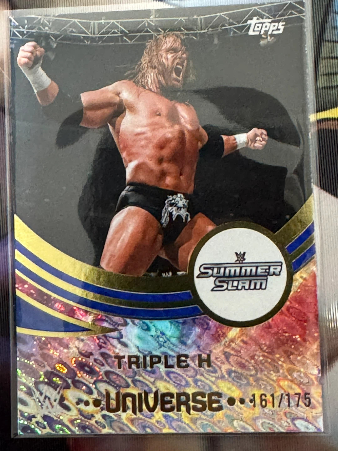 WWE UNIVERSE TOPPS 2025 - photo 3
