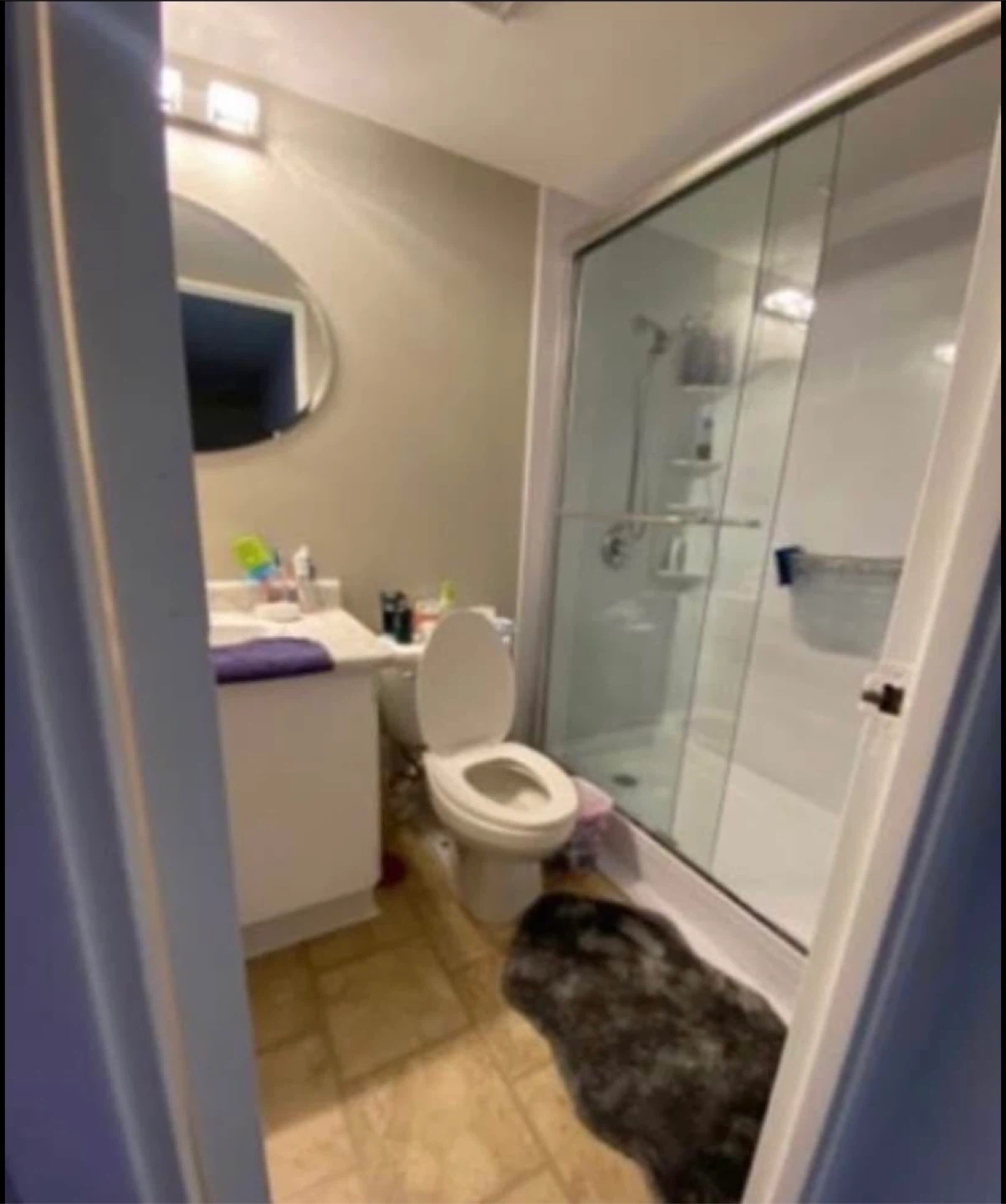 Furnished Private room available IMMEDIATELY - photo 4