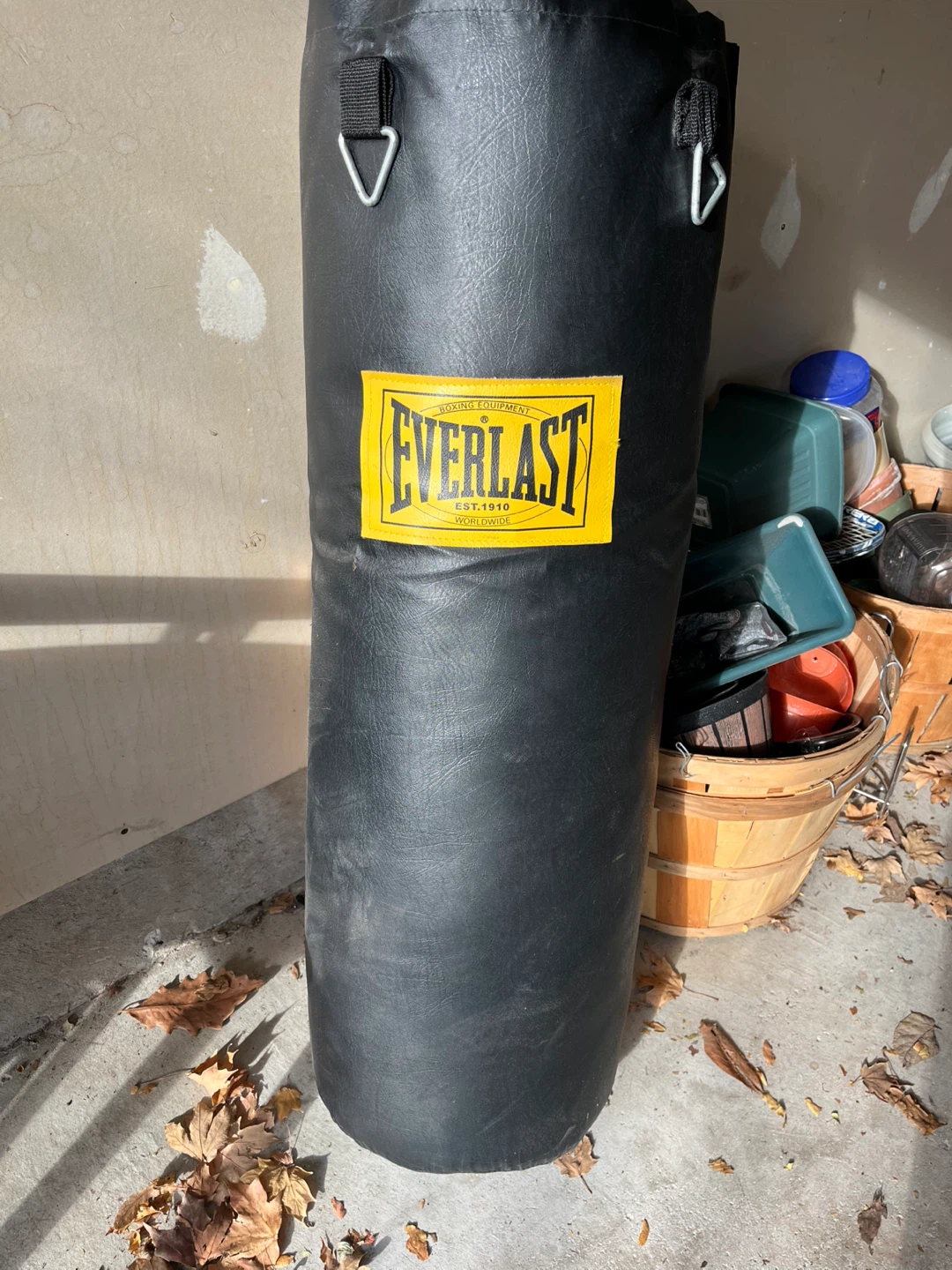 Everlast Boxing Punching Bag