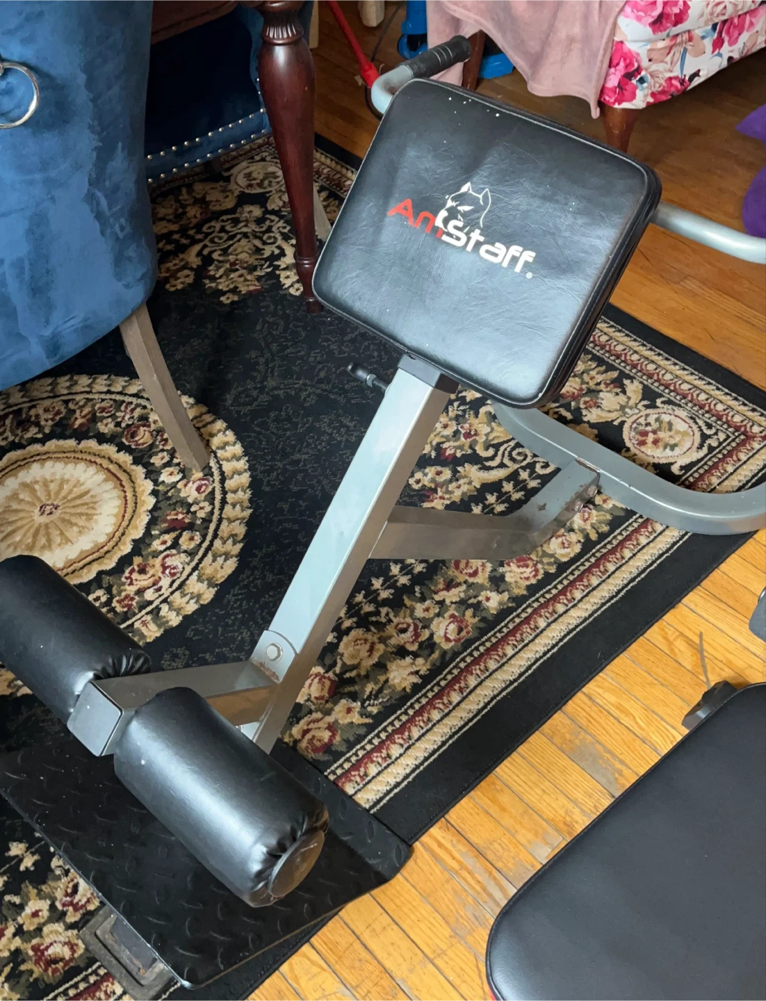 AmStaff Back/Hyper Extension Roman Chair - photo 2