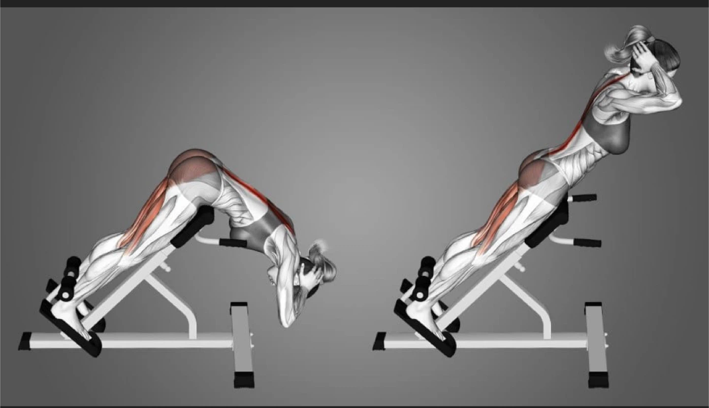 AmStaff Back/Hyper Extension Roman Chair - photo 5