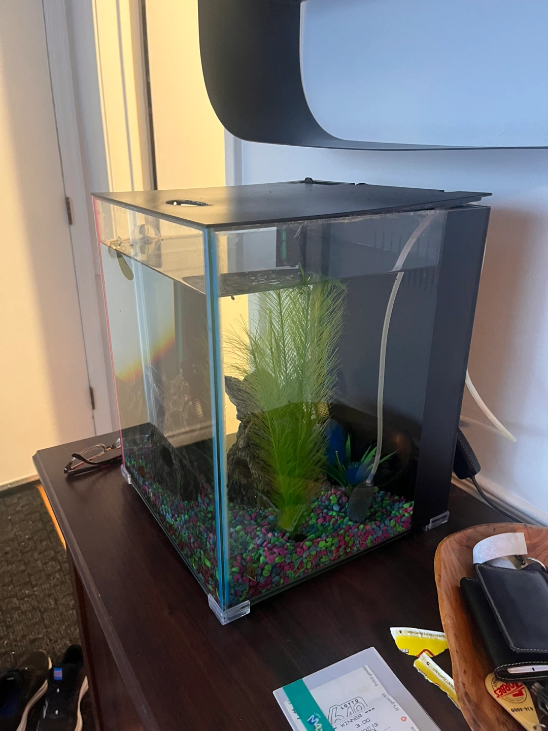 Fish tank