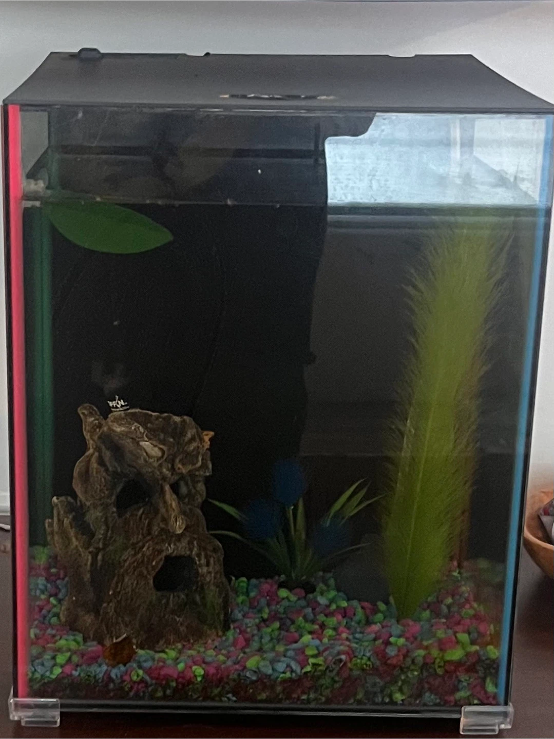 Fish tank - photo 2