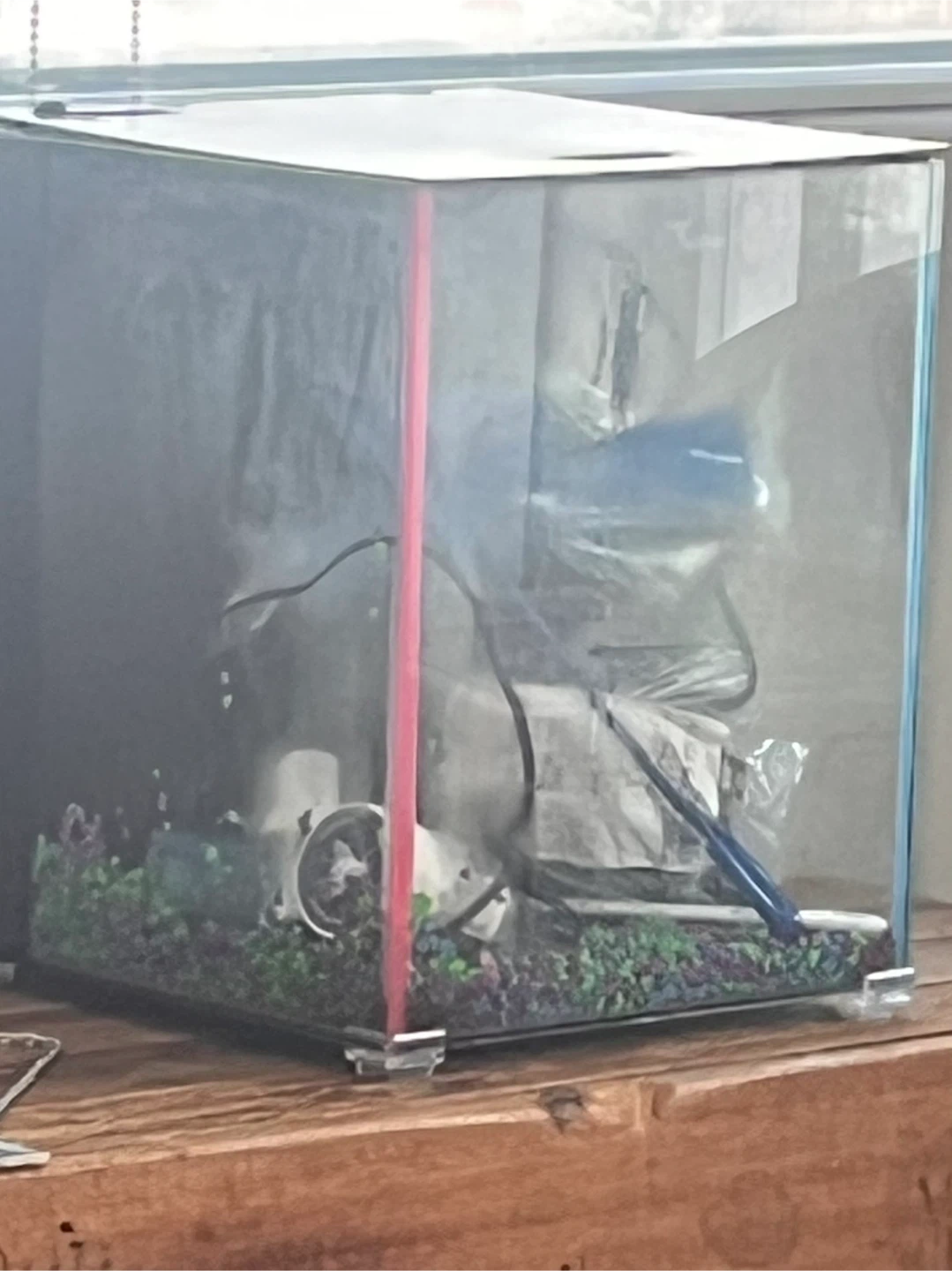 Fish tank - photo 4