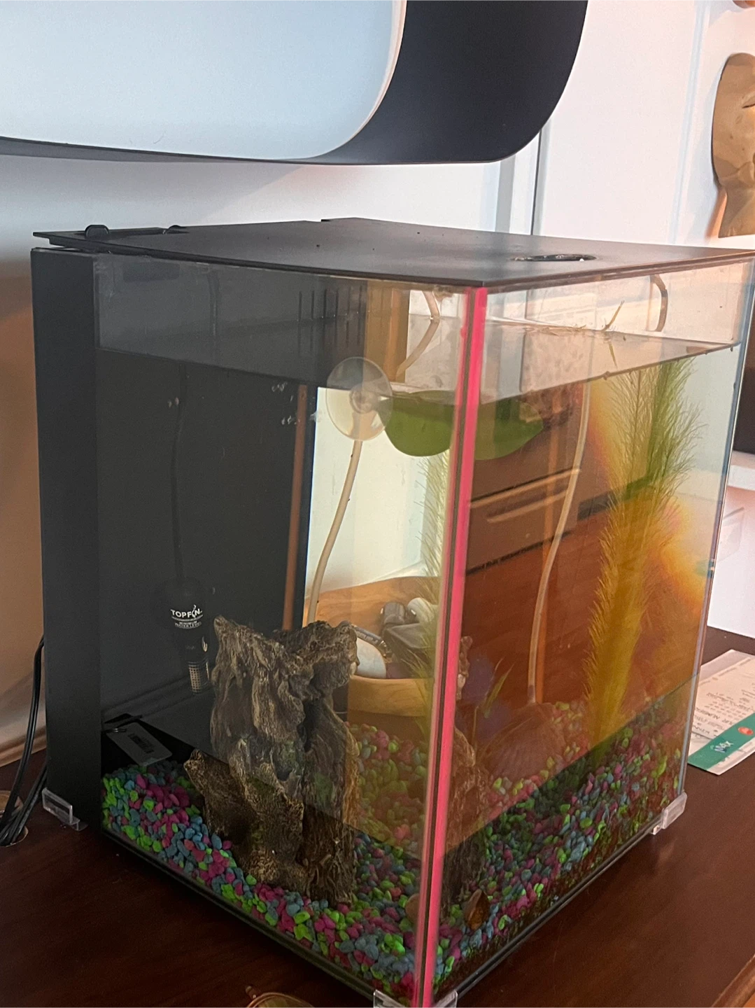 Fish tank - photo 3