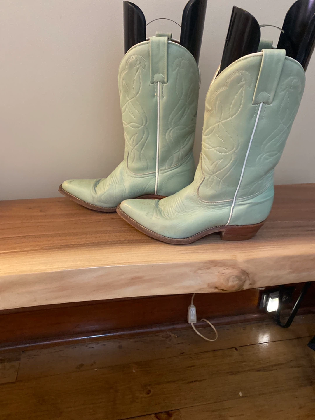 Light Green Embroidered Cowboy Boots