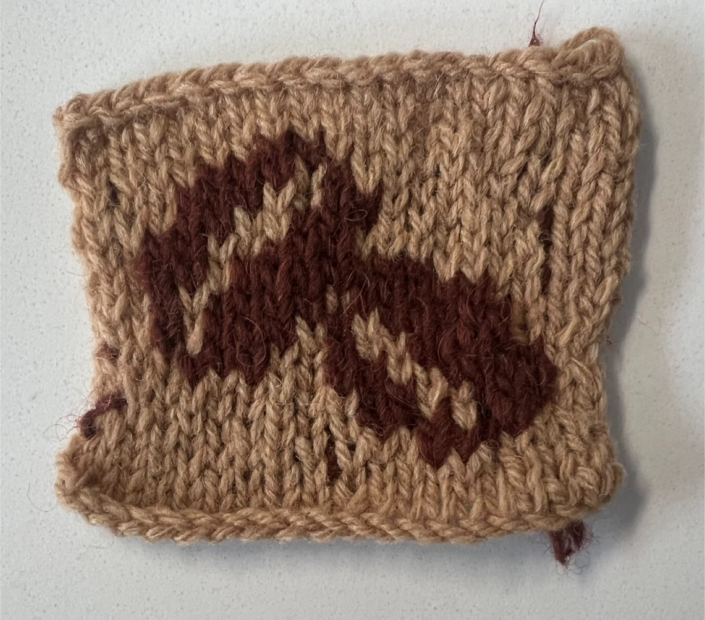 🤩LUXURY Sol Alpaca 100% Andean Highland Wool(525g) - photo 2