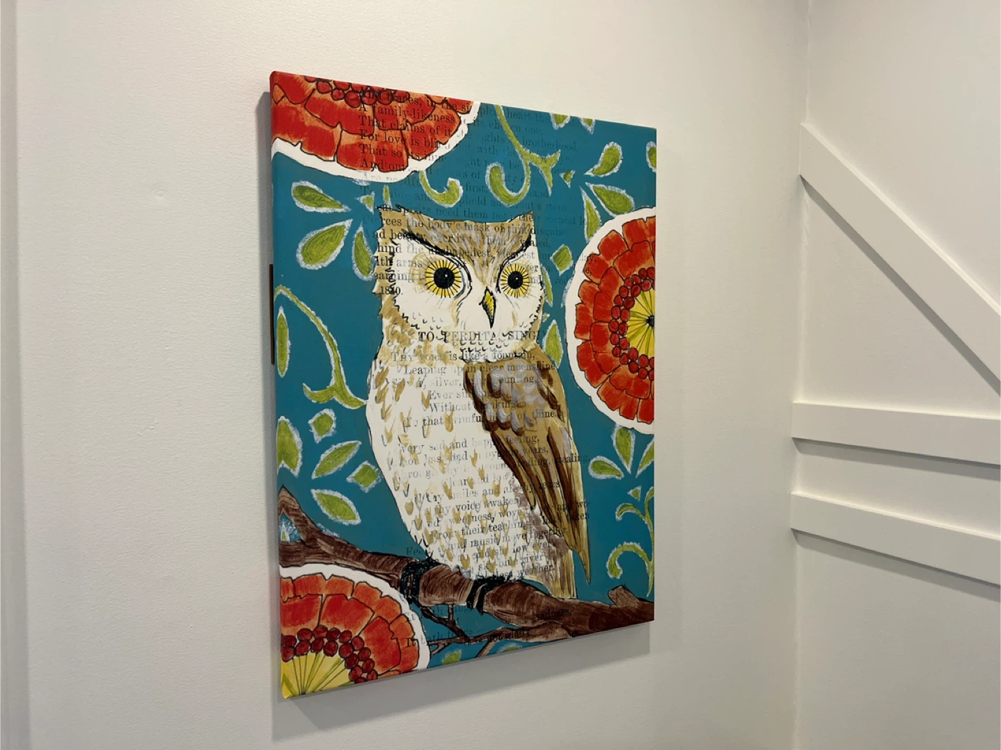 Pier 1 Imports Wisehoot Art Owl Canvas Print