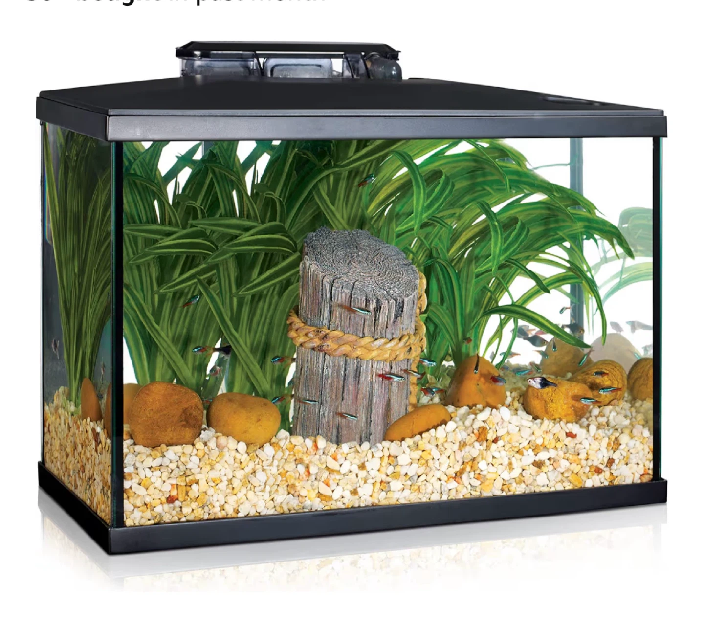 Black Aquarium Tank with LED Light - 5 gallon