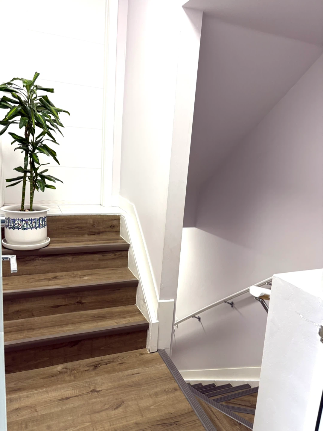 Basement Suite, West End
