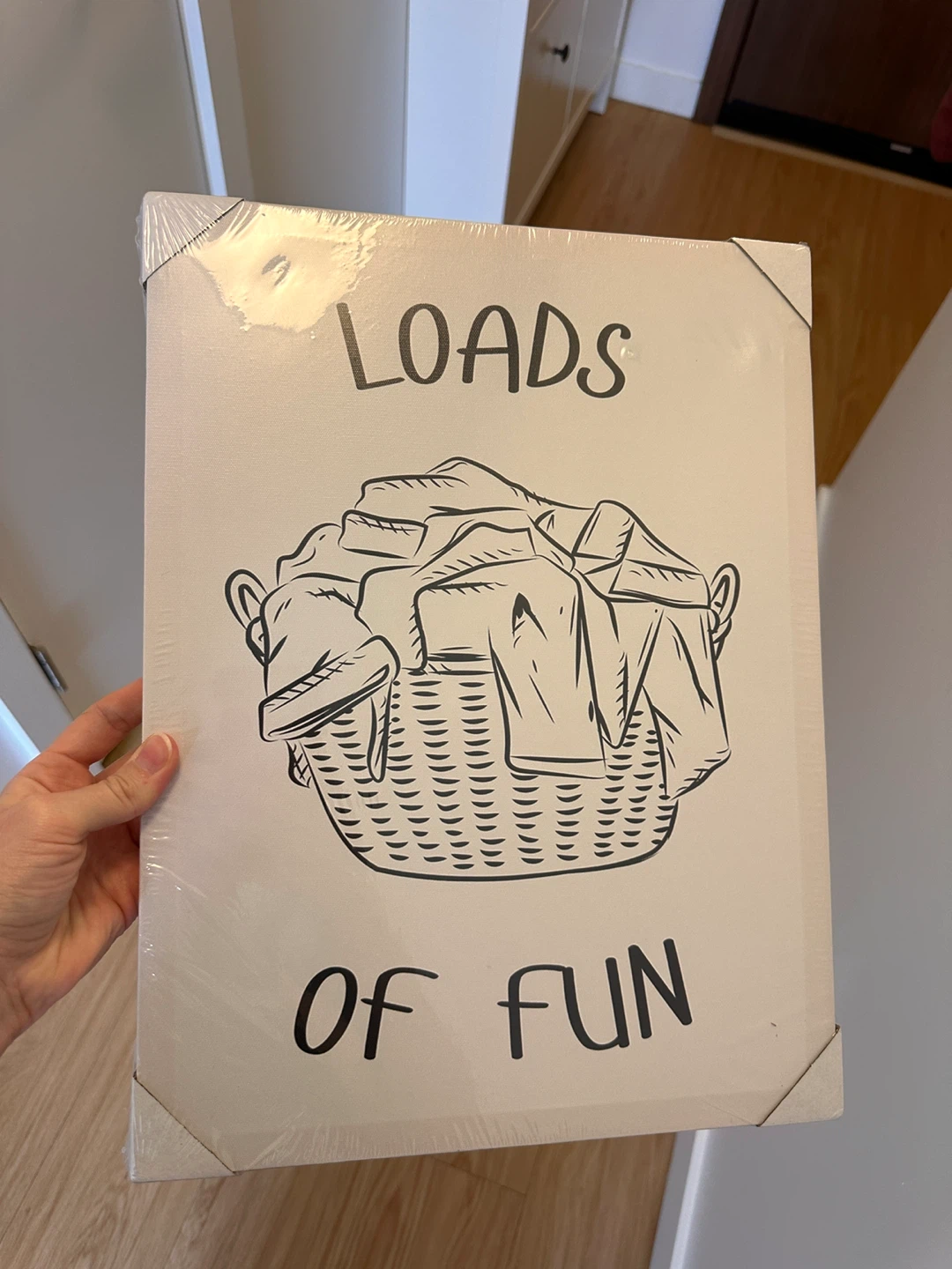 Loads of Fun Canvas Wall Art