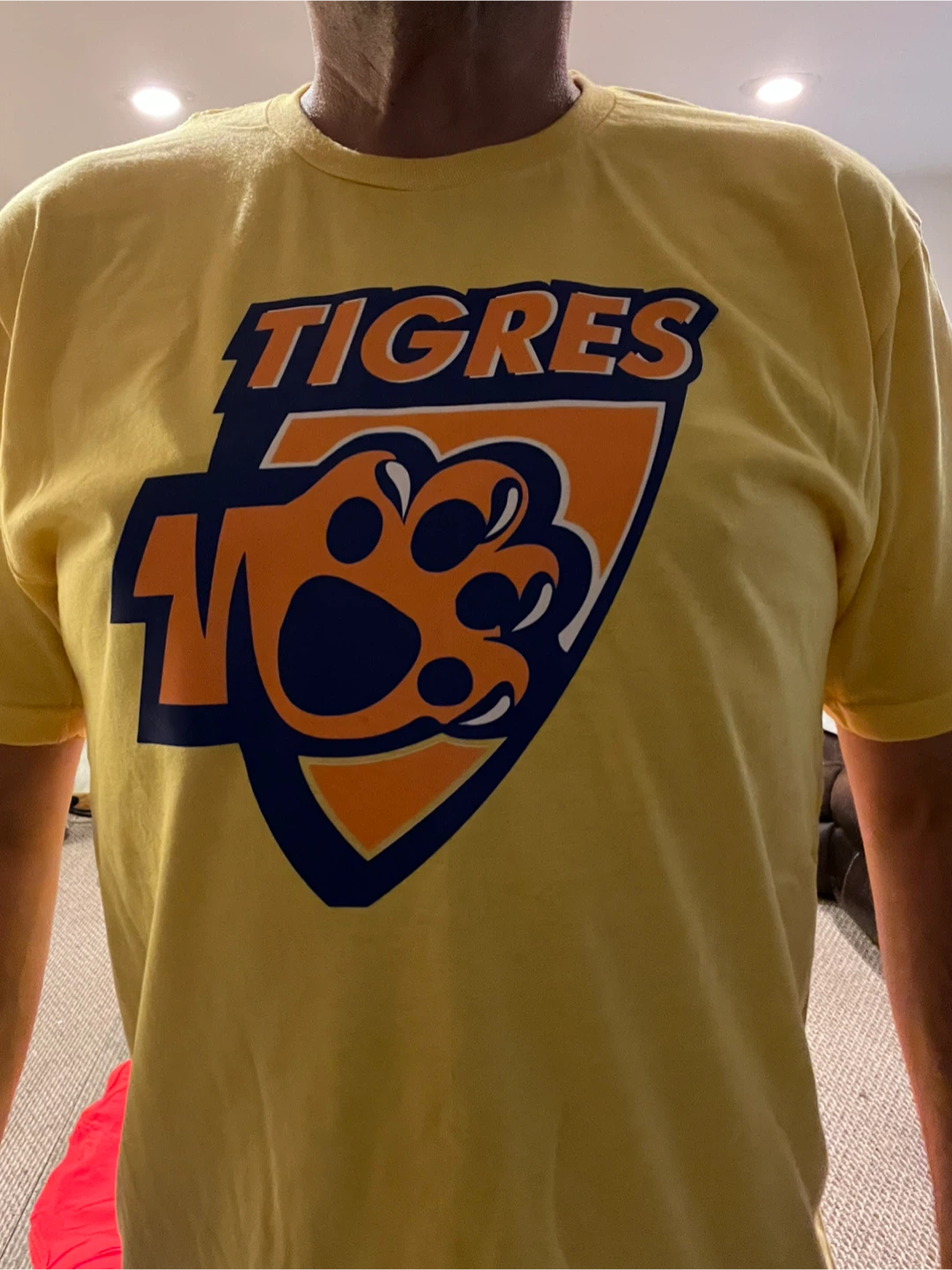 Bundle of Graphic T-Shirts - photo 2