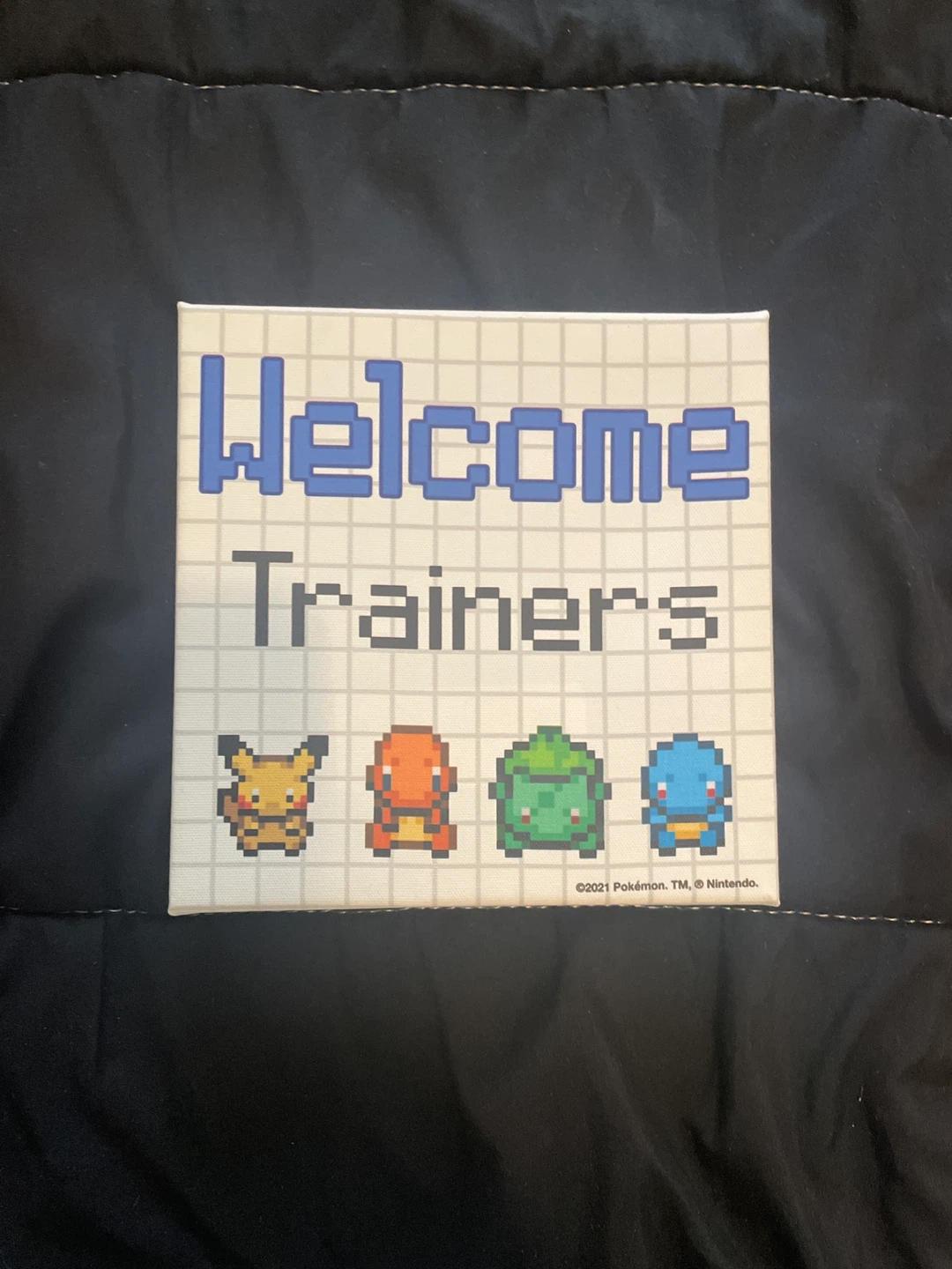 Pokemon "Welcome Trainers" Canvas Art