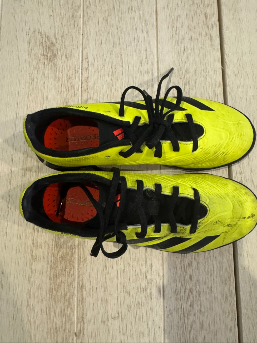 Adidas Predator Soccer Cleats