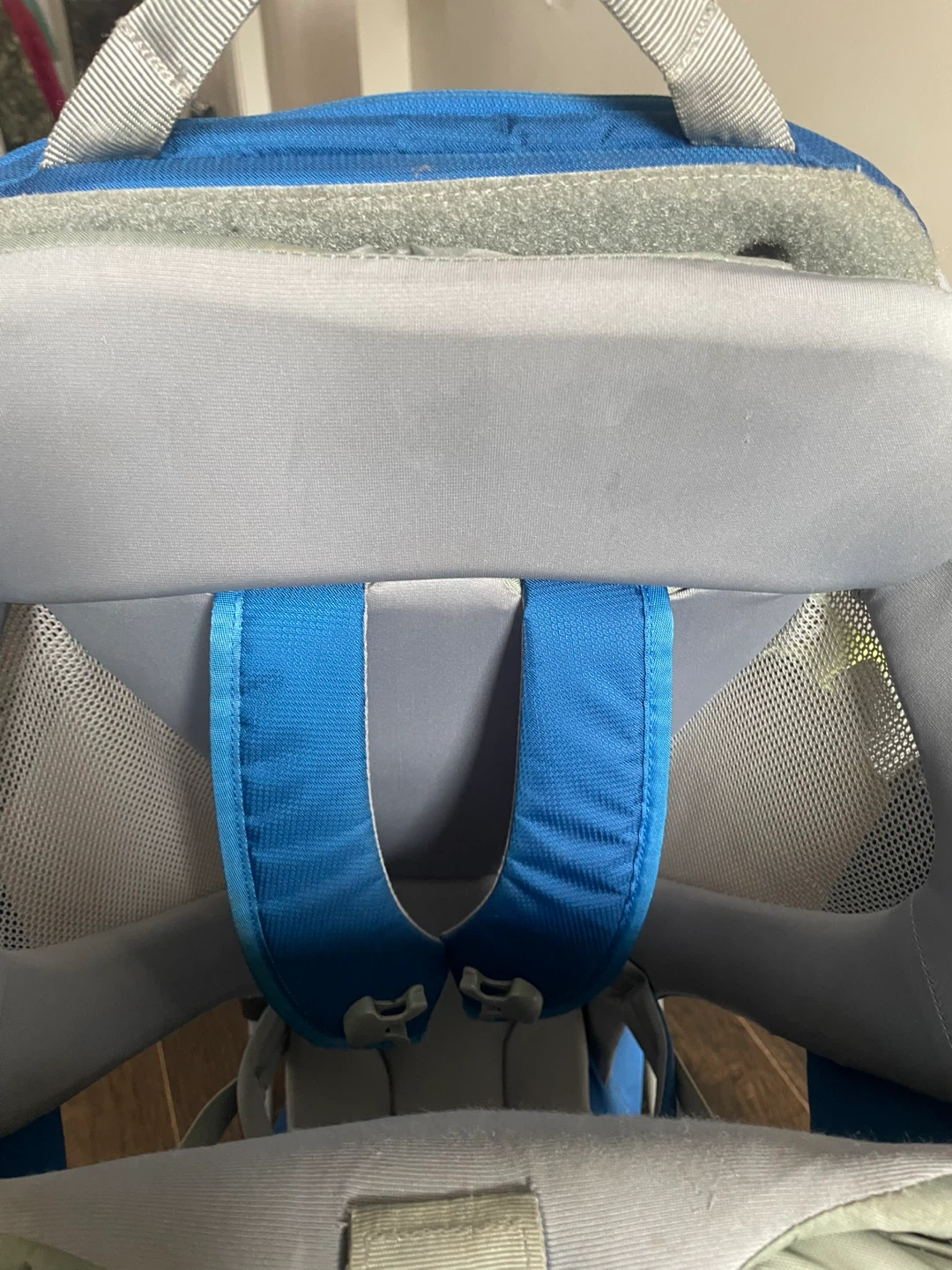 Thule Sapling Child Carrier Backpack - photo 4