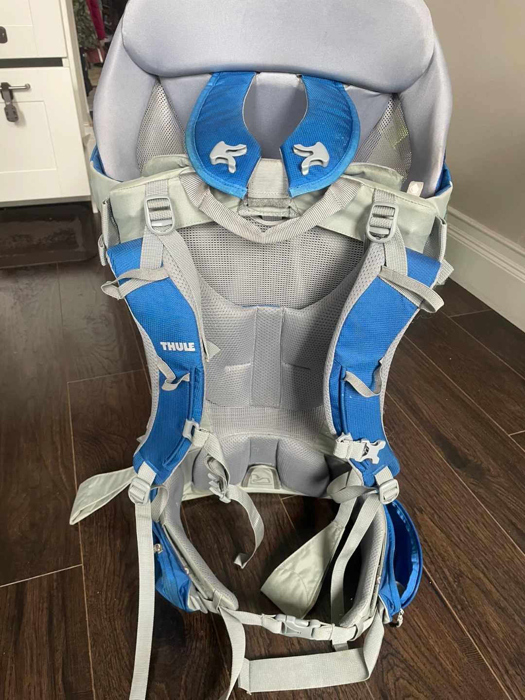 Thule Sapling Child Carrier Backpack - photo 3