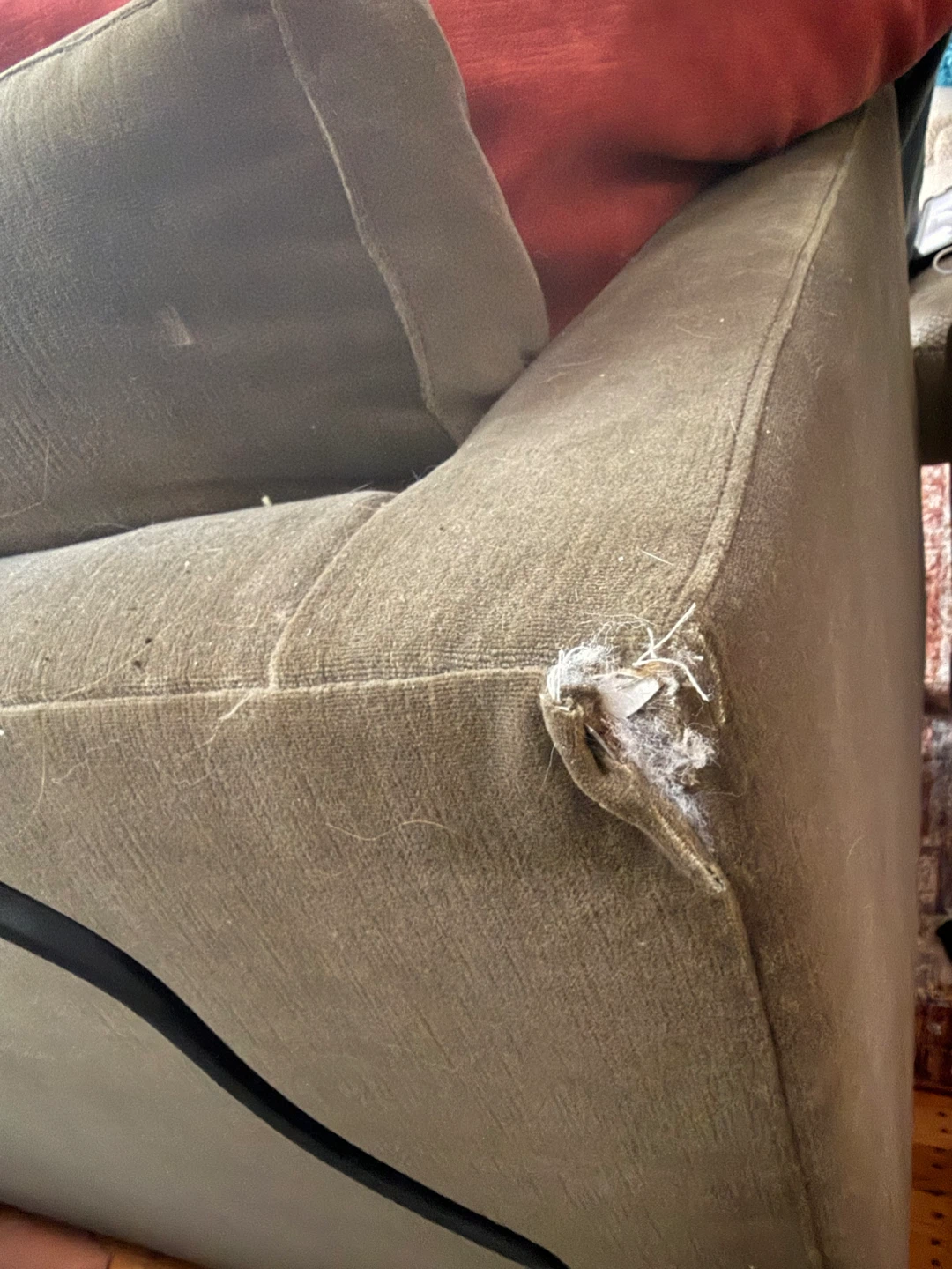 Olive Green MCM velvet couch - photo 3