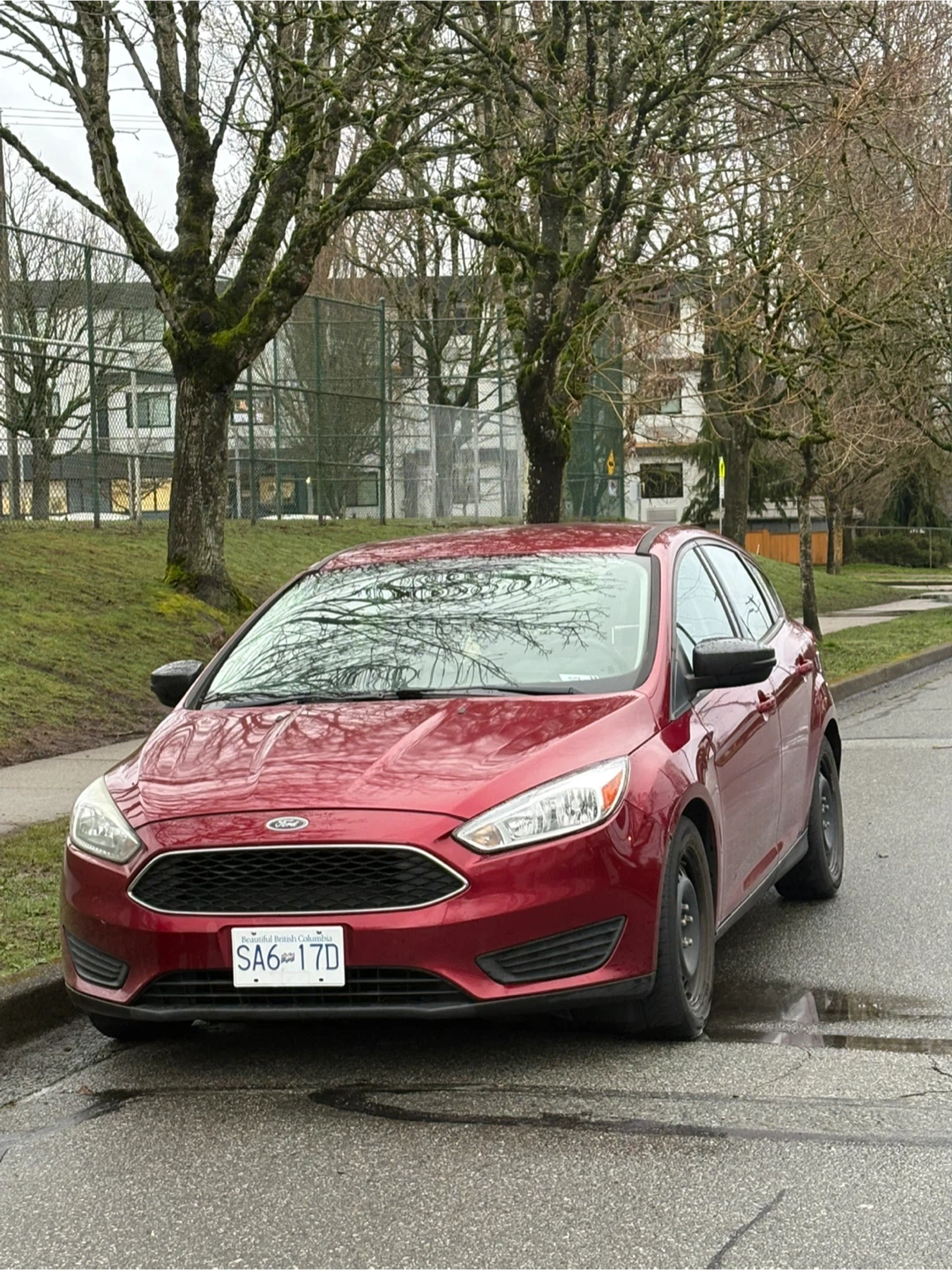 Red Ford Focus Sedan