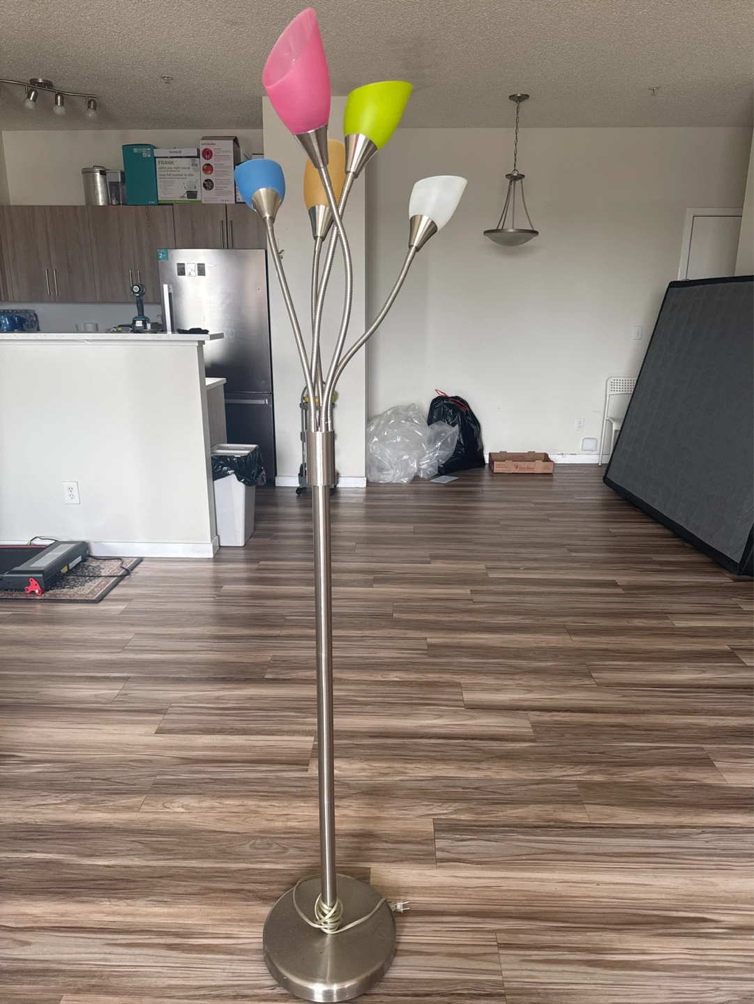 5-Head Floor Lamp with Multi-Colored Shades