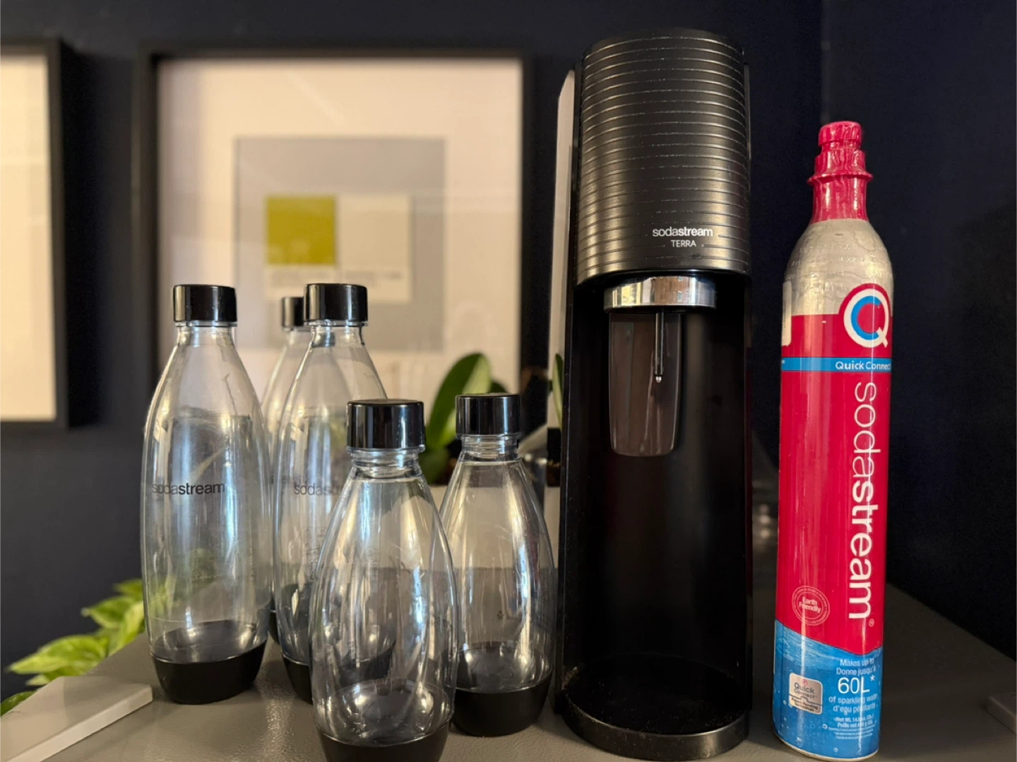 SodaStream Terra Sparkling Water Maker with 4 Bottles & CO2