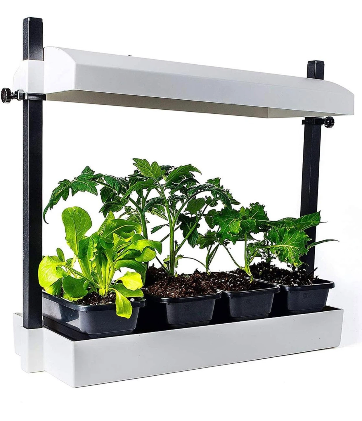 SunBlaster Growlight Garden -  Indoor LED Garden Kit