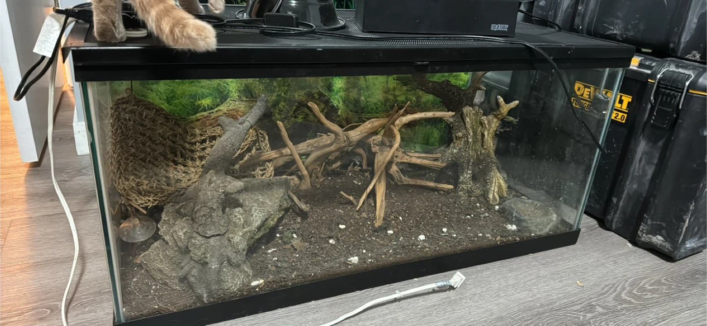 Glass Terrarium with Naturalistic Decor