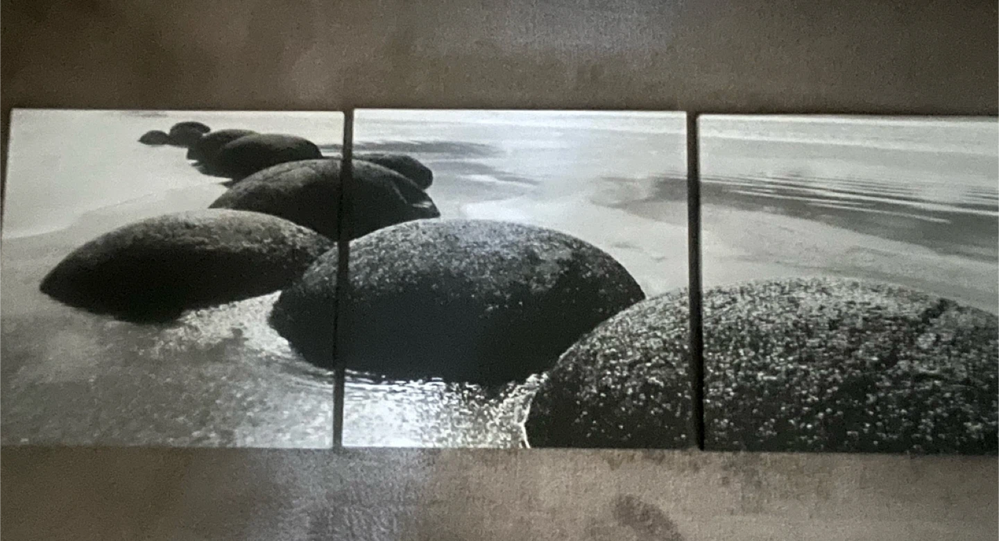 3 pc Canvas Wall Art - Black and White Beach Rocks