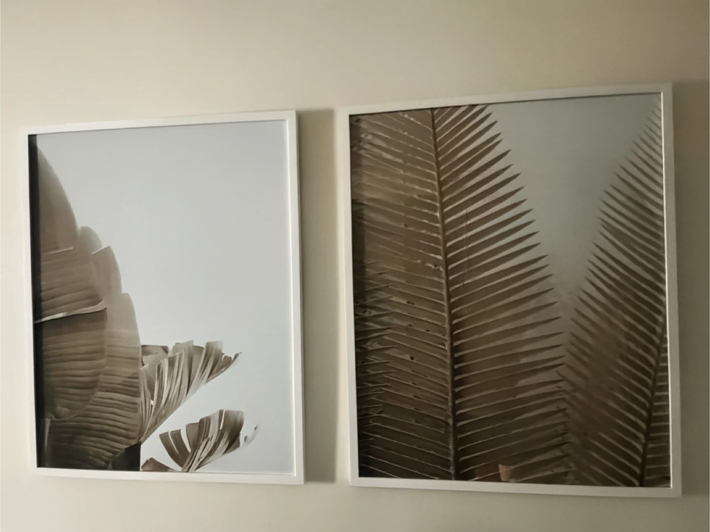 Set of 2 Framed Botanical Prints