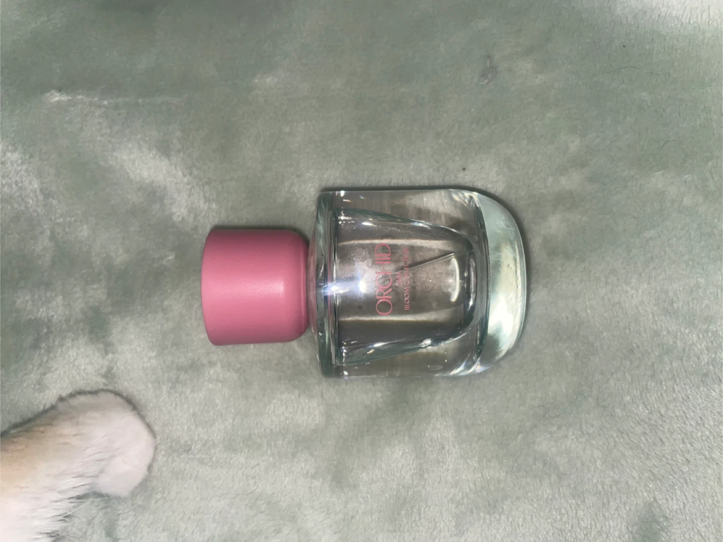 ZARA Orchid Perfume
