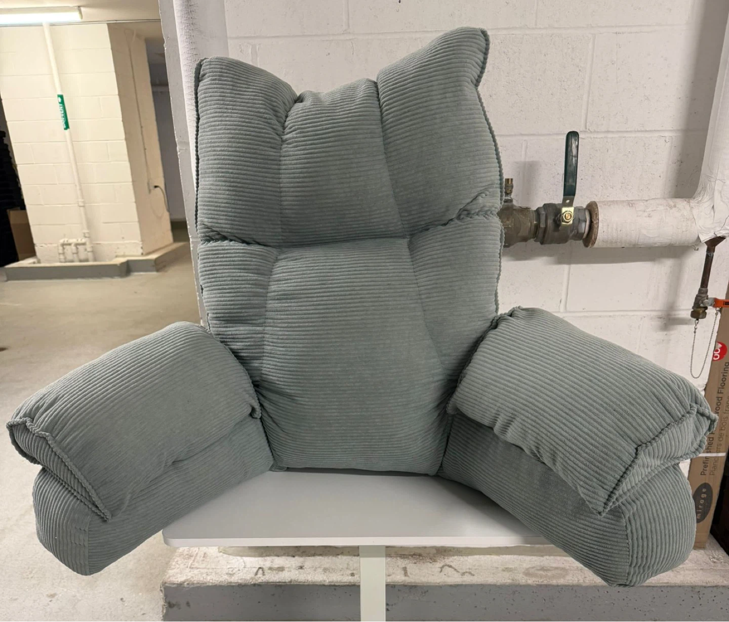 Pillow with Arms