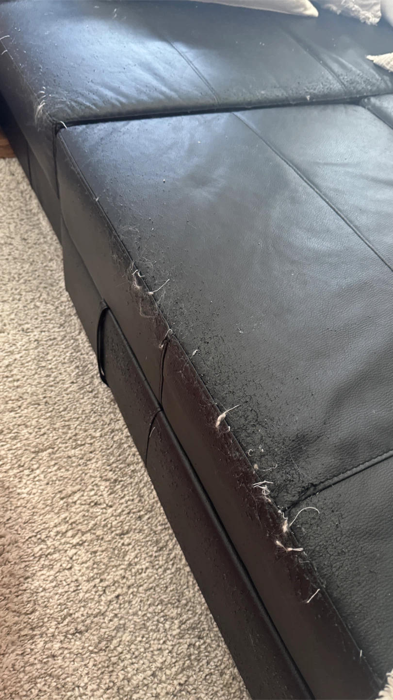 Ikea pull out couch and pillows - photo 3
