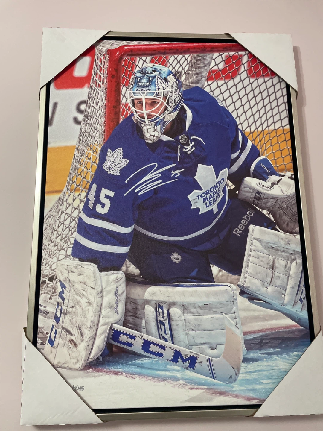 Jonathan Bernier 20 bye 29 canvas