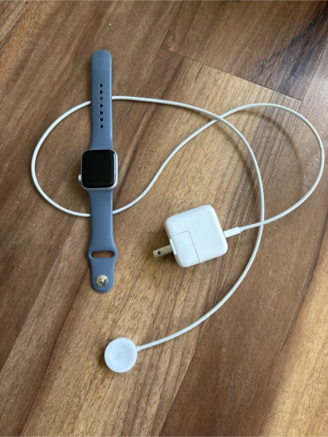 Apple Watch Series6 Aluminum Case with  Blue Sport Band