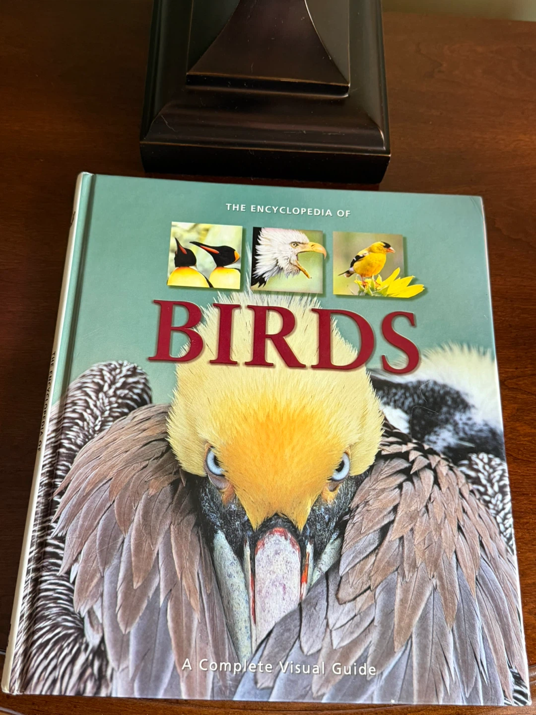 The Encyclopedia of Birds: A Complete Visual Guide